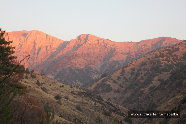 photo 1575166