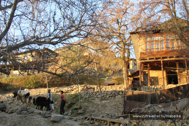 photo 1575167