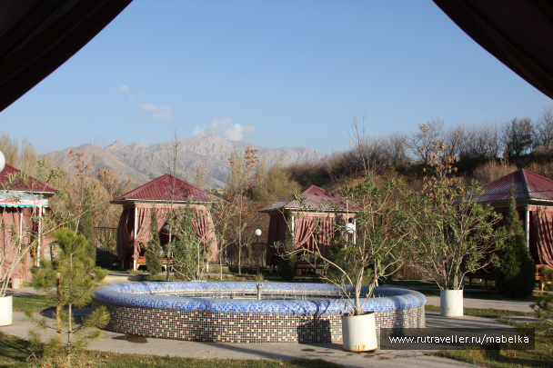 photo 1575180