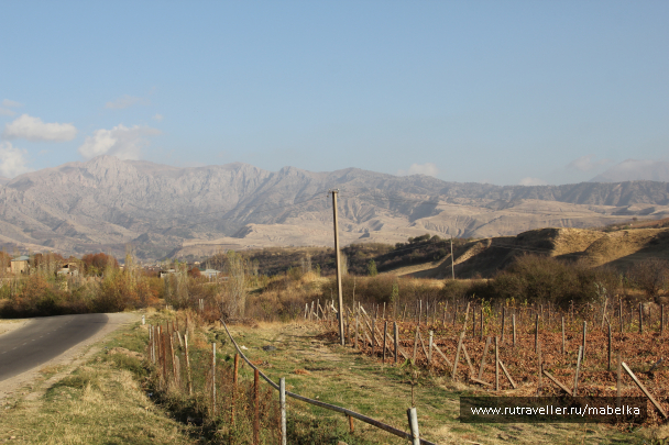 photo 1575182