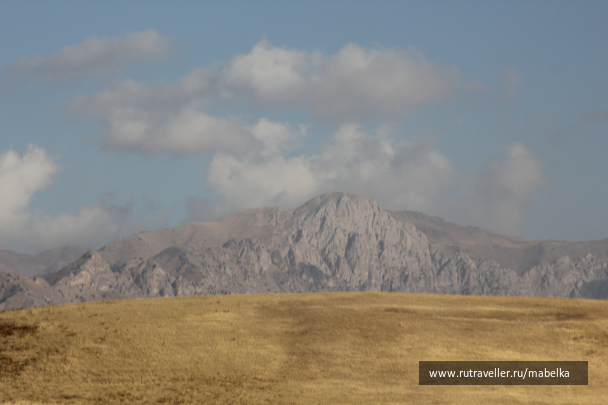 photo 1575185
