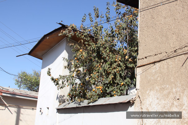 photo 1577927