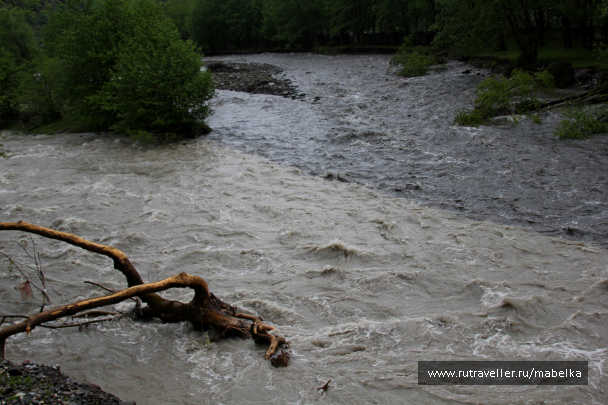 photo 1633394