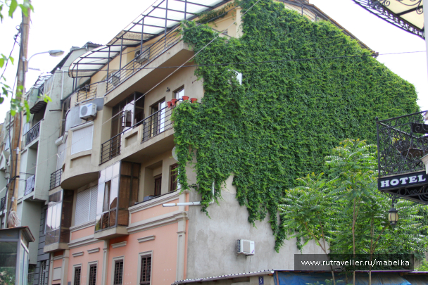photo 1634886