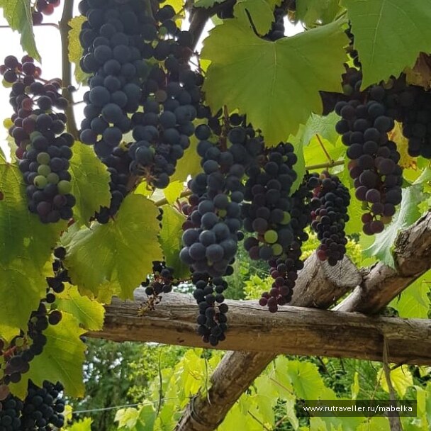 photo 1659404
