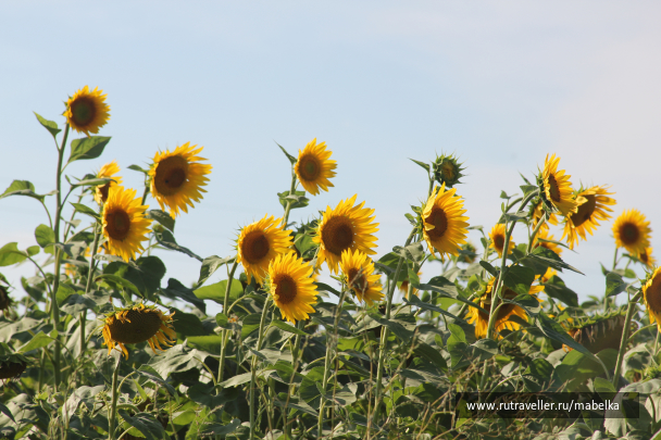 photo 1669271
