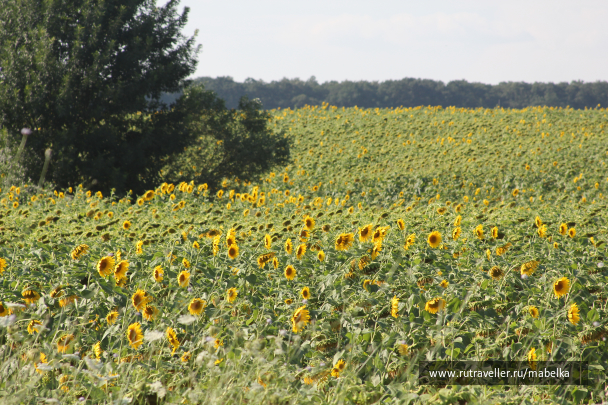 photo 1669374