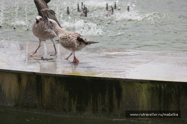 photo 1685251