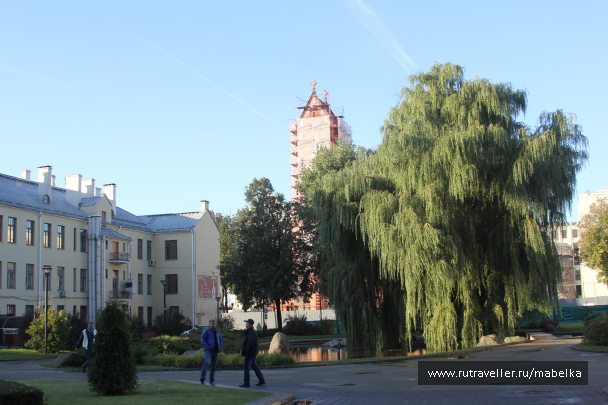 photo 1691294