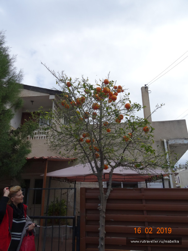 photo 1769011