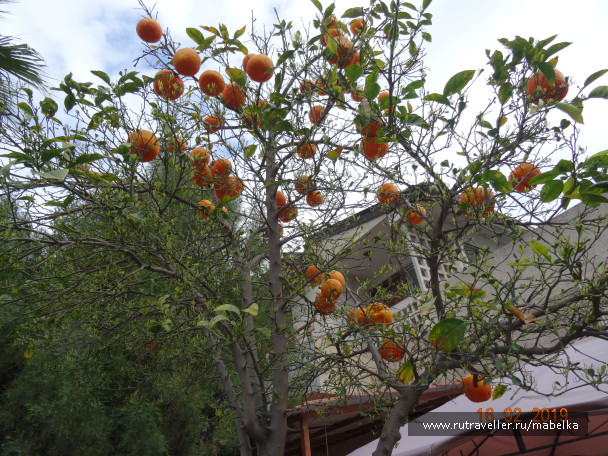 photo 1769012
