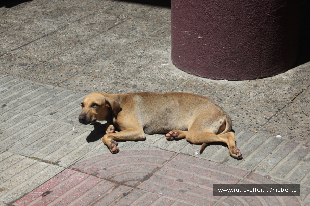 photo 1821621