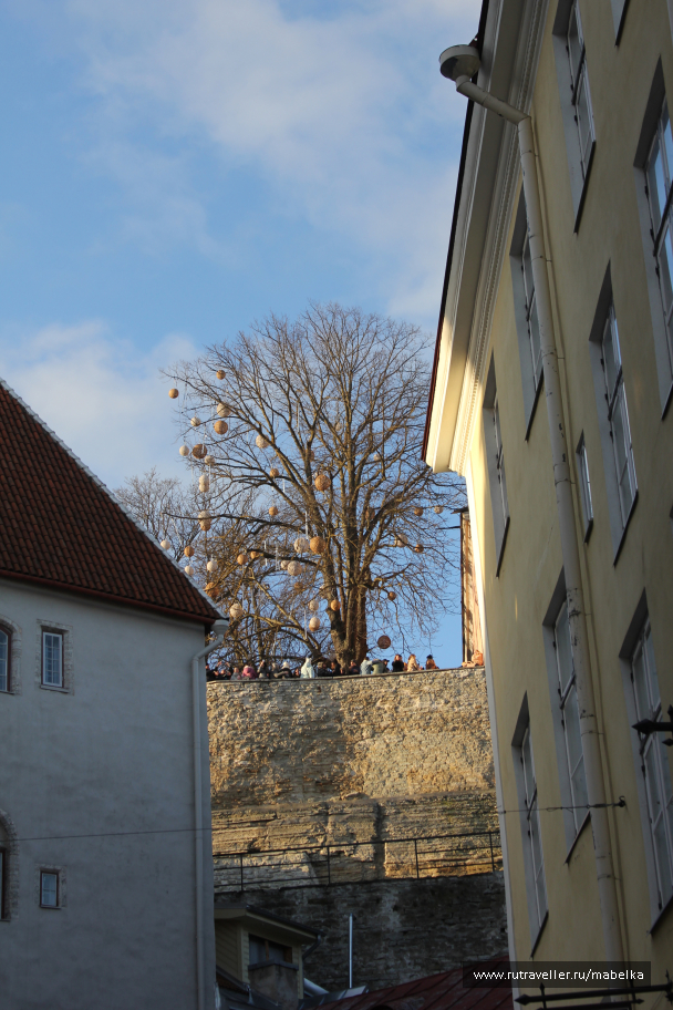 photo 1836031