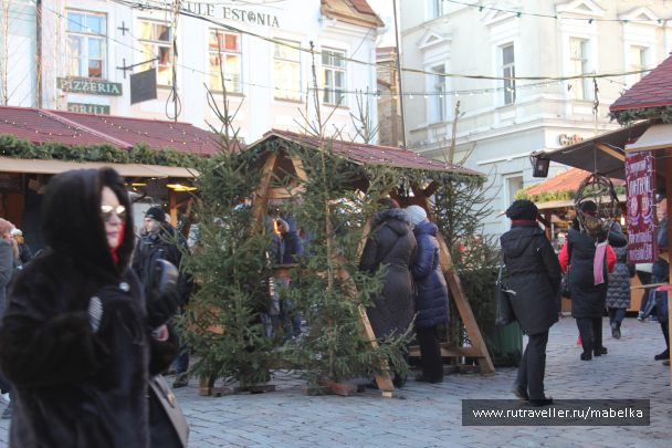 photo 1836034