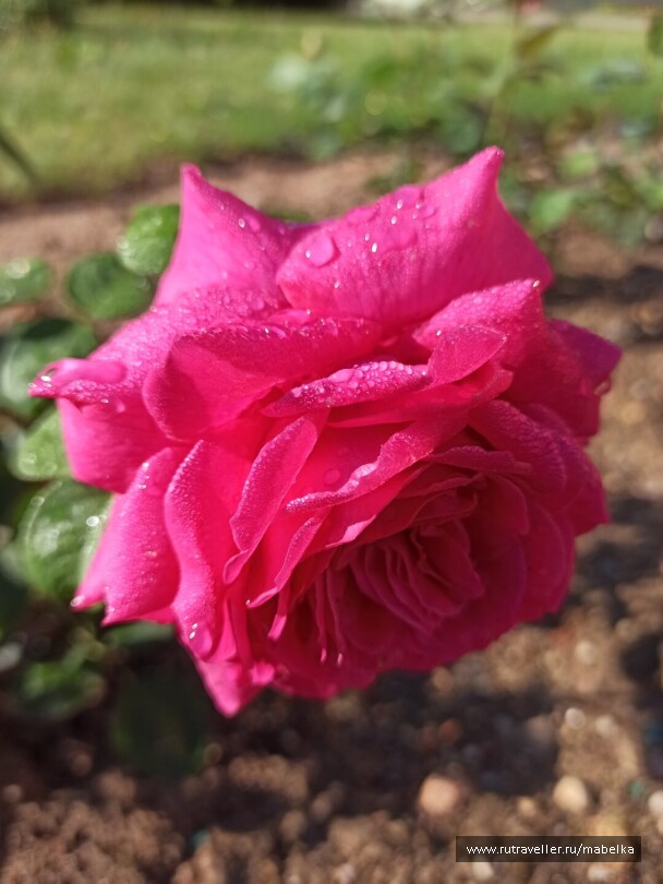photo 2075211
