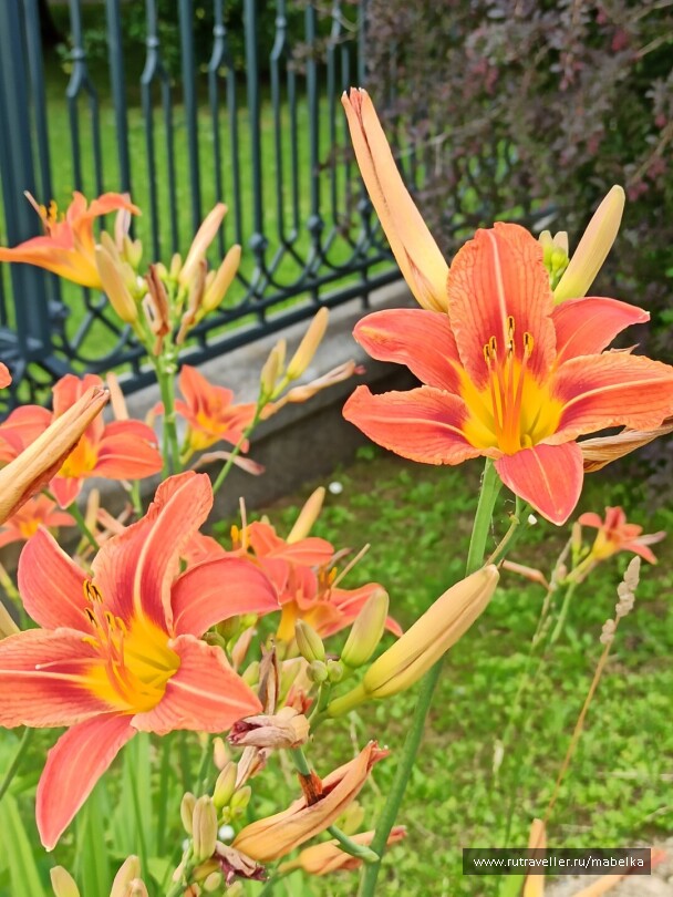 photo 2075220