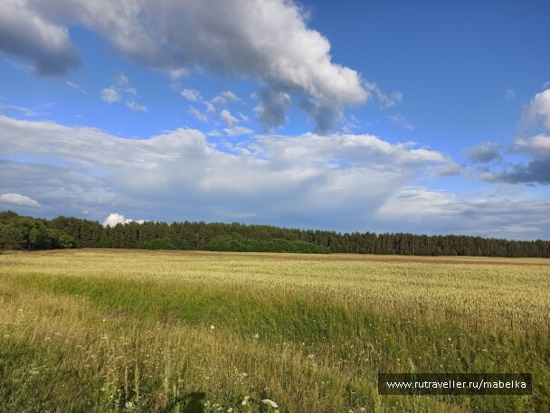 photo 2075259