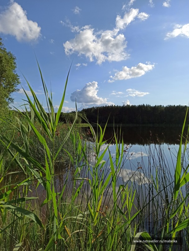 photo 2075260