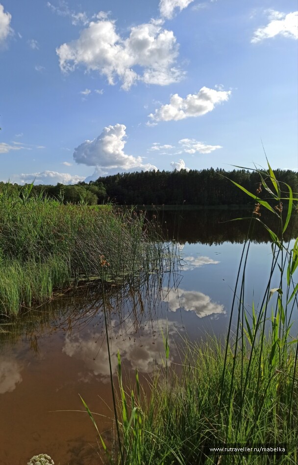 photo 2075261