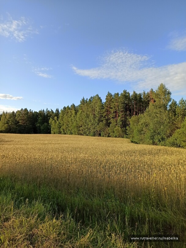 photo 2075264
