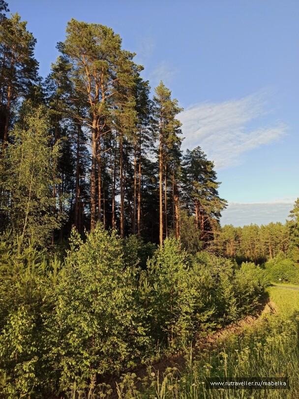 photo 2075266