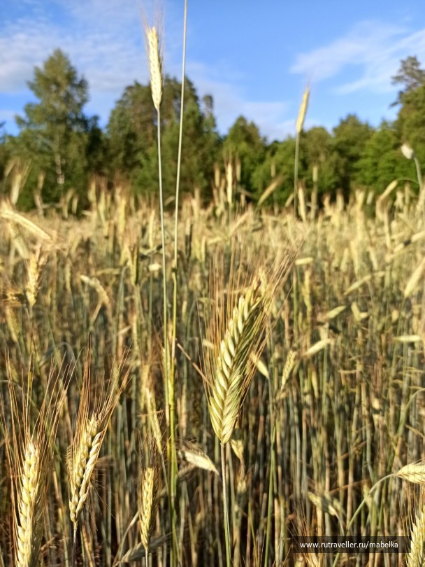 photo 2075267