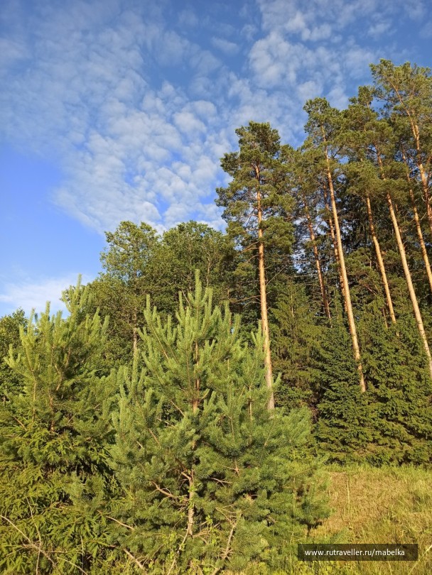 photo 2075268