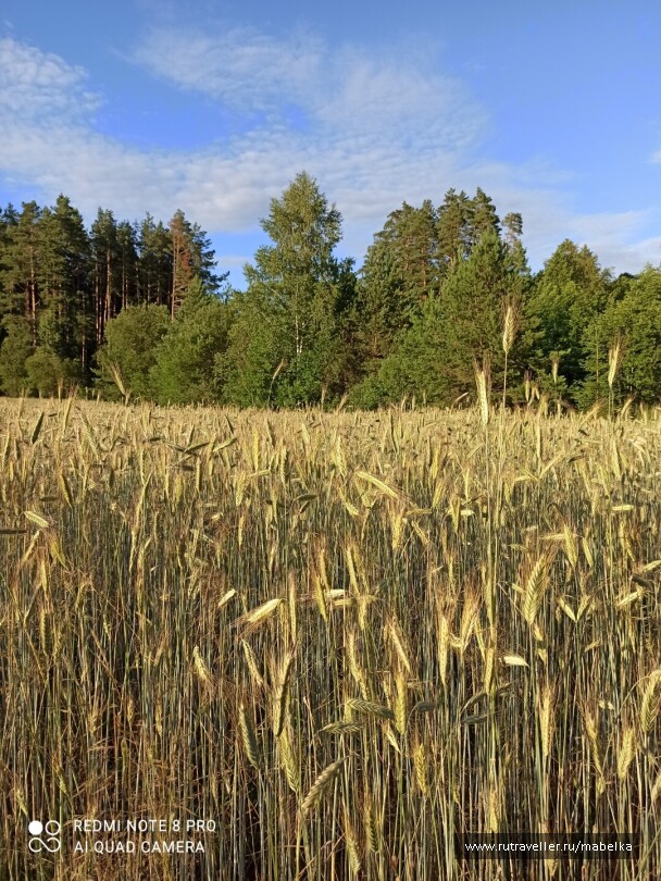 photo 2075270