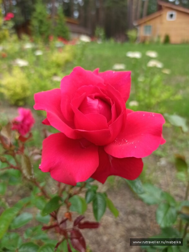 photo 2075271