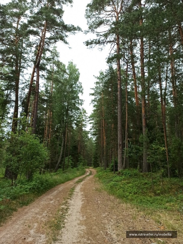 photo 2075272