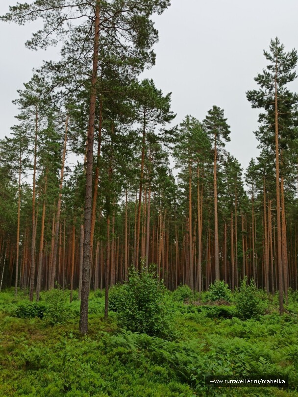 photo 2075273