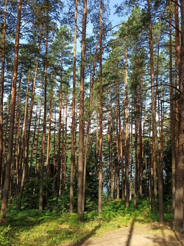 photo 2075292