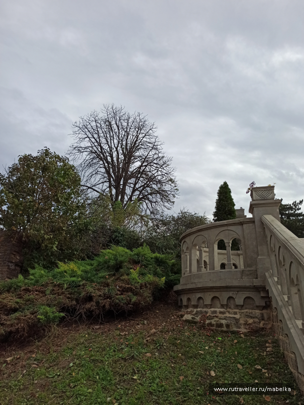 photo 2077884