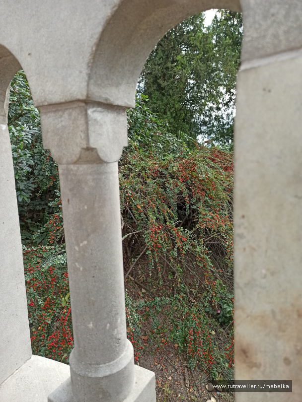 photo 2077885