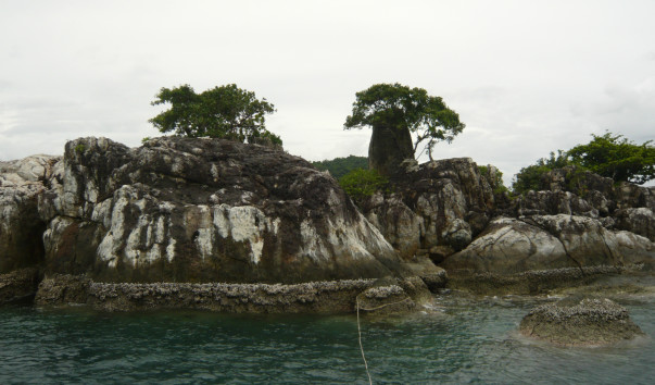 P1130901