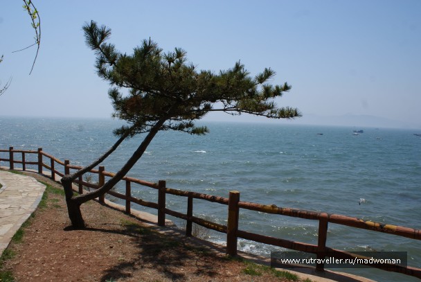 photo 189353