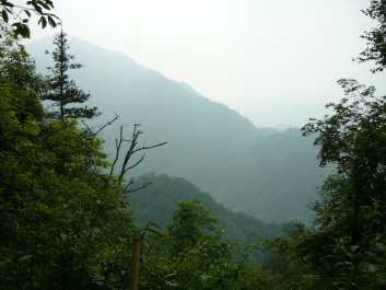 photo 191704