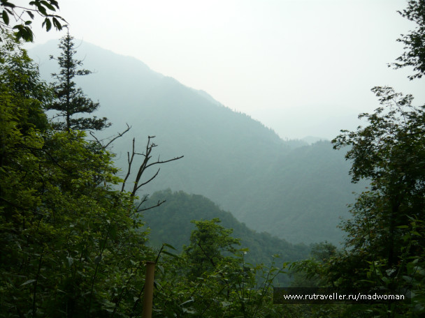 photo 191704