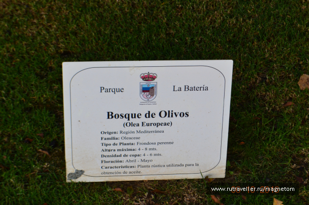 photo 1612587