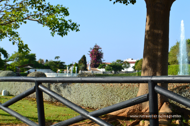 photo 1612590
