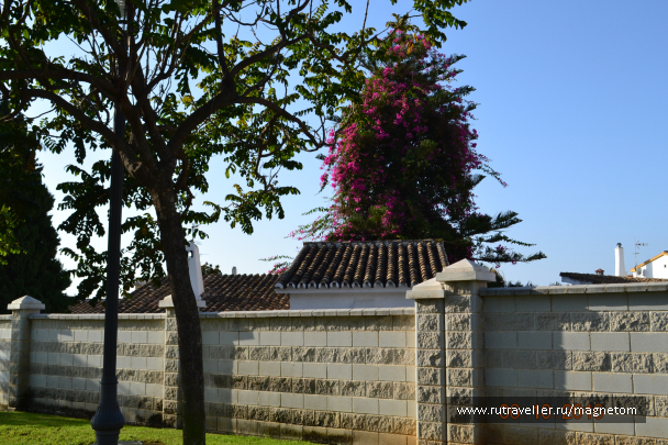 photo 1612647