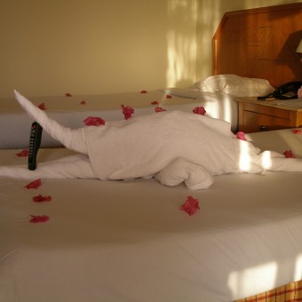 Island Garden Resort 4*