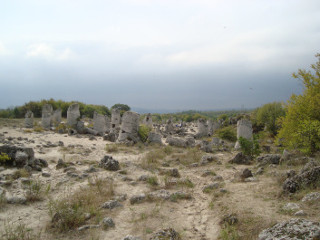 photo 110367
