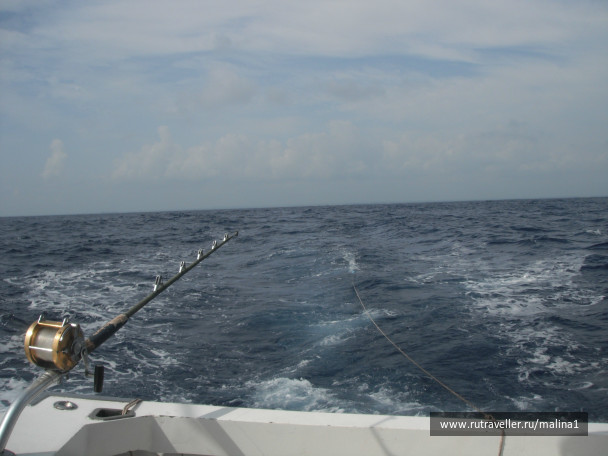 photo 91683