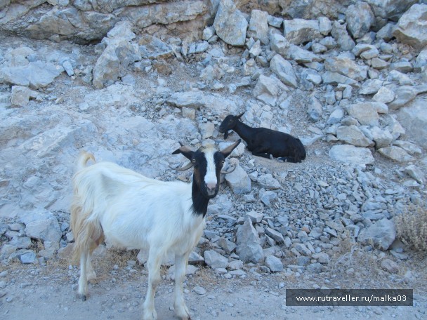 photo 753856