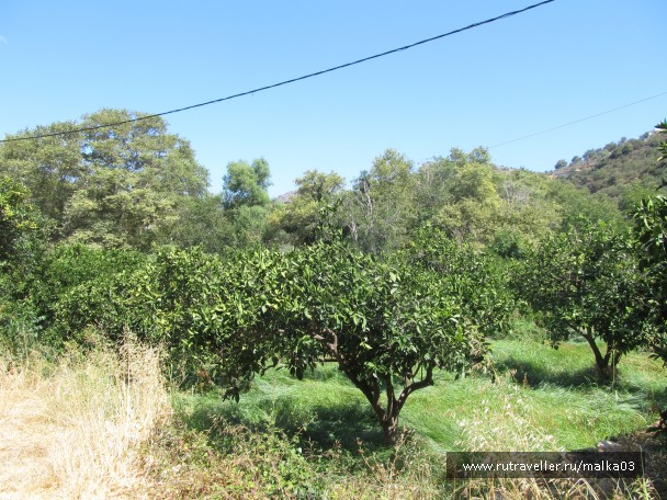 photo 758493