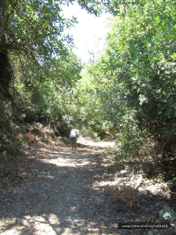 photo 758586