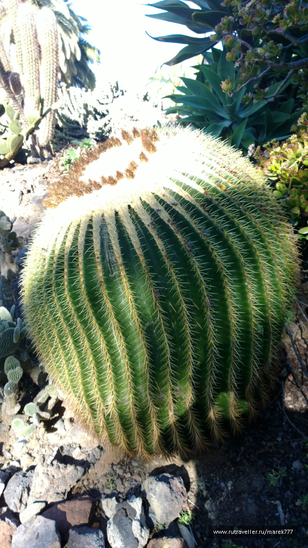 photo 636337