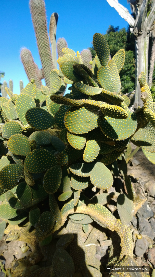 photo 636340