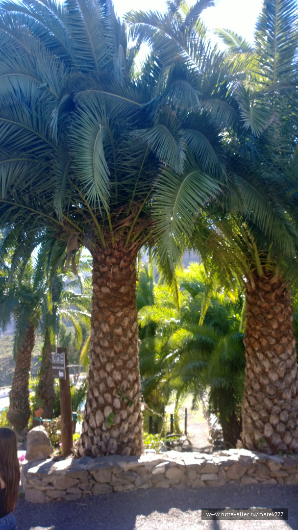 photo 636342